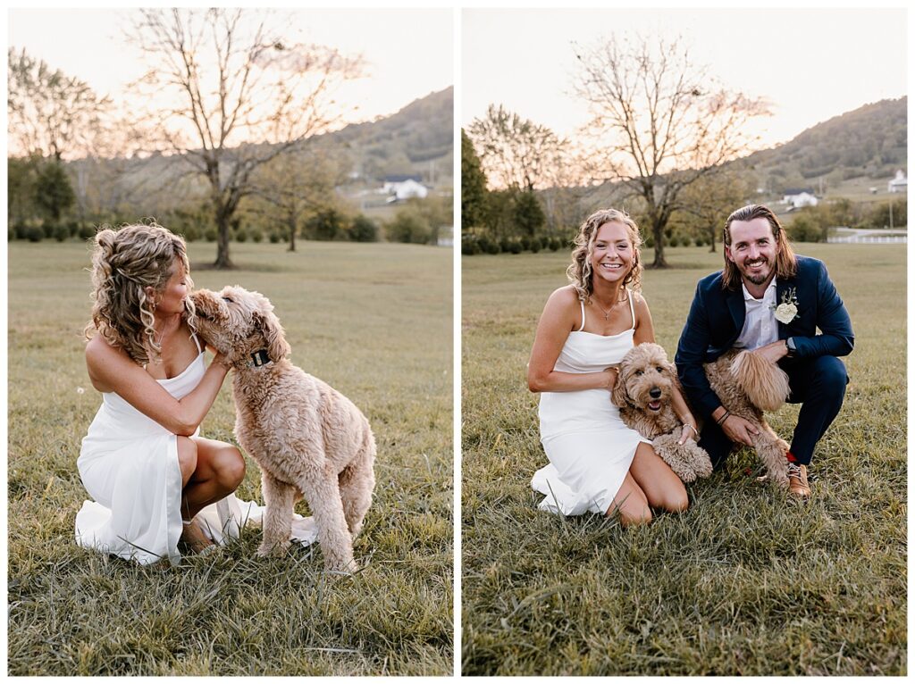 Five Palms Wedding Venue | Front Lawn | puppy portraits